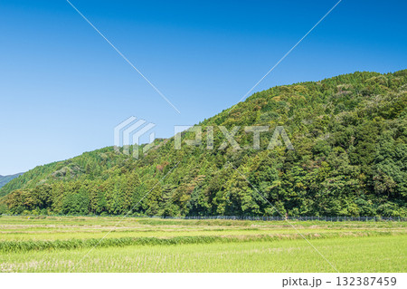 秋の里山風景 滋賀県高島市マキノ町 秋の里山風景 滋賀県高島市マキノ町 132387459