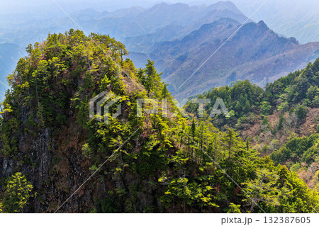 両神山・八丁尾根から見る新緑の山並み 132387605