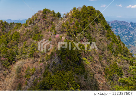 早春の両神山・八丁尾根から見る西岳 早春の両神山・八丁尾根から見る西岳 132387607