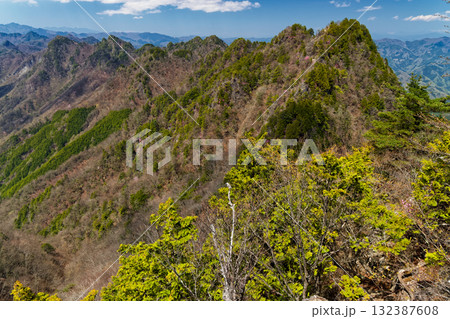 早春の両神山・八丁尾根から見る西岳と赤岩尾根 132387608