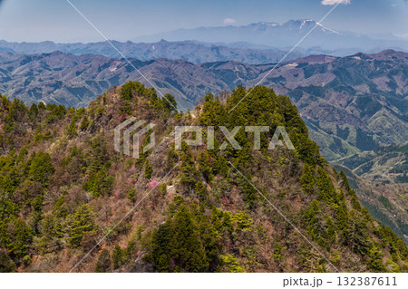 早春の両神山・八丁尾根から見る西岳と浅間山 132387611