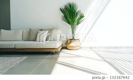 Bright and Modern Living Room with Sofa, Plant, and Dramatic Natural Light Shadows Bright and Modern Living Room with Sofa, Plant, and Dramatic Natural Light Shadows 132387642