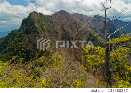 八丁尾根・西岳から見る早春の両神山稜線 132388257