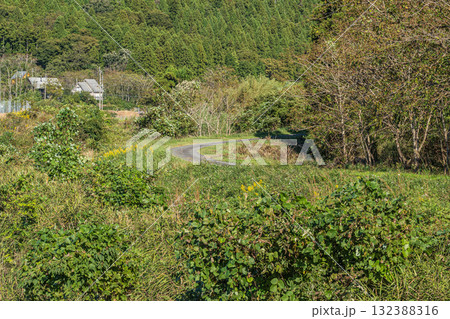 雑草生い茂る知内川 滋賀県高島市 雑草生い茂る知内川 滋賀県高島市 132388316