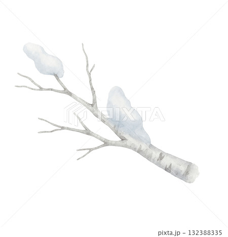 雪のついた白樺の枝のイラスト　冬の森の自然素材（切り抜き・透明背景） 132388335