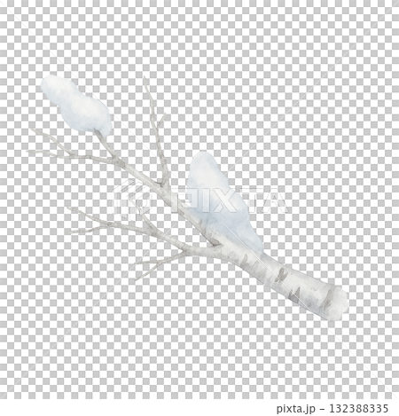 雪のついた白樺の枝のイラスト　冬の森の自然素材（切り抜き・透明背景） 132388335