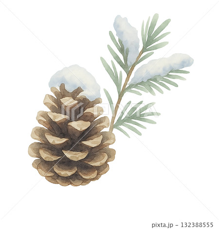 雪をかぶった松ぼっくりと針葉樹の枝のイラスト　冬の森の自然素材（切り抜き・透明背景） 132388555
