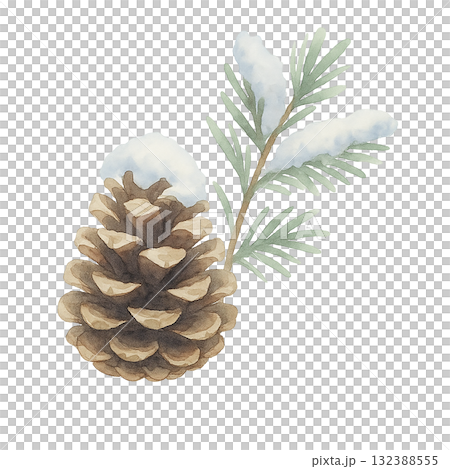 雪をかぶった松ぼっくりと針葉樹の枝のイラスト　冬の森の自然素材（切り抜き・透明背景） 132388555