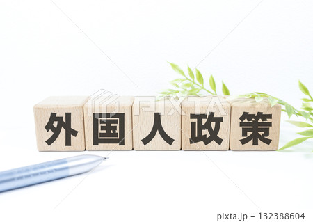 外国人政策の文字ブロック。白背景とコピースペースの行政テーマ。 132388604