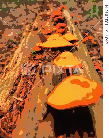森の中のキノコの列(afr20251022073439) 森の中のキノコの列(afr20251022073439) 132388644