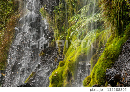 白糸の滝の流れ 白糸の滝の流れ 132388895