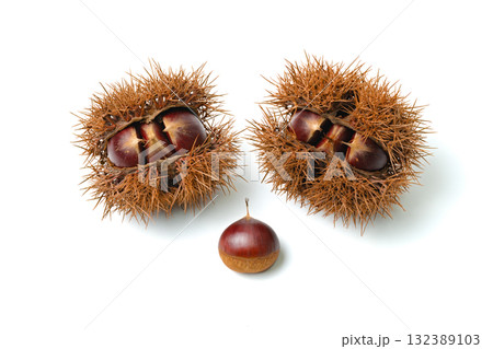 栗入りイガ2個と栗 132389103