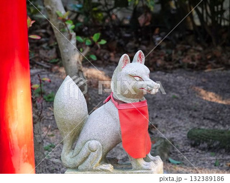 稲荷神社の赤い狐 132389186
