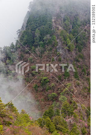 霧に煙る奥秩父・両神山の岩稜 132389301