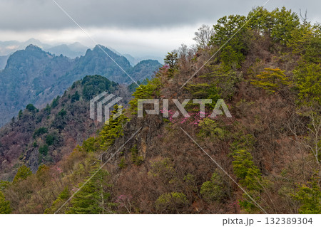 両神山・八丁尾根から見る霧に煙る西岳と赤岩尾根 132389304