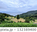 佐渡島の棚田 132389400