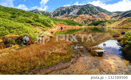 緑と紅葉のコントラストが美しいみどりが池と立山連峰の絶景　立山黒部アルペンルート　室堂平　富山県 132389500
