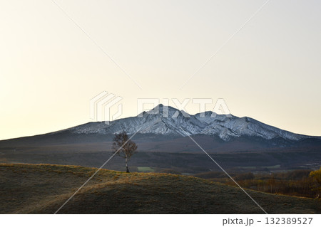 4月早春のほしかぜの丘と斜里岳 132389527