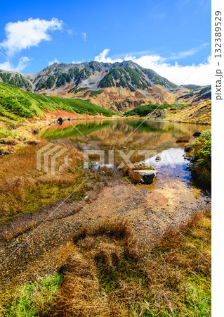 山上の池　美しいみどりが池と立山連峰秋の絶景　立山黒部アルペンルート　富山県 132389529
