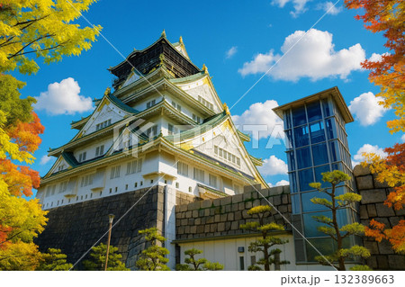 大阪城　大阪城公園　紅葉 132389663
