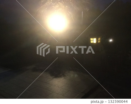 鎌倉＆江ノ島散策　2023年版　闇夜の鶴岡八幡宮境内 132390044