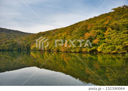 秋の紅葉の蔦沼の風景 秋の紅葉の蔦沼の風景 132390064