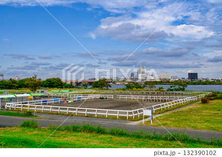 東京都江戸川区　篠崎ポニーランド 132390102