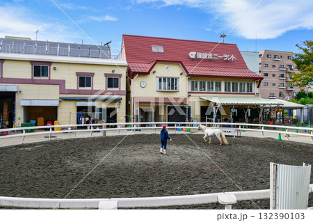 東京都江戸川区 篠崎ポニーランド 東京都江戸川区 篠崎ポニーランド 132390103