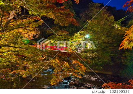 中野もみじ山の橋 132390525