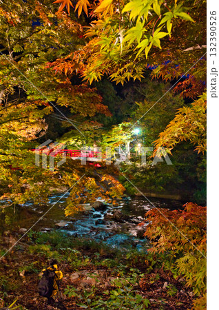 中野もみじ山の橋 132390526