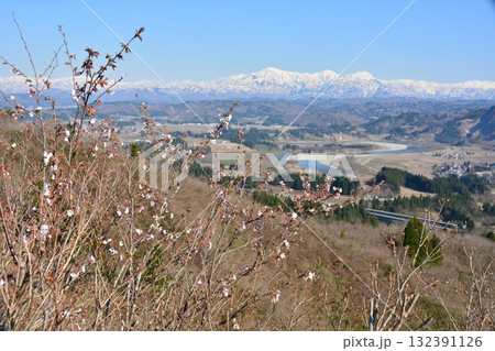 山桜咲く新潟県小千谷市山本山高原・残雪の越後三山 132391126