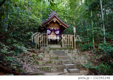 八重垣神社の鏡の池付近の森の中 132391246