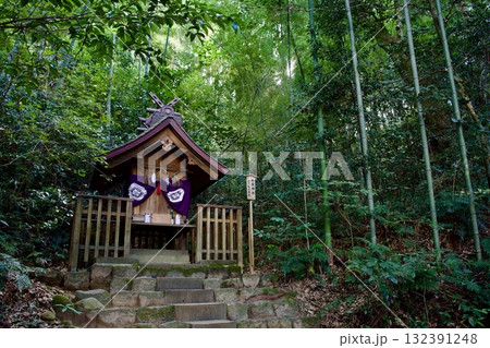 八重垣神社の鏡の池付近の森の中 八重垣神社の鏡の池付近の森の中 132391248
