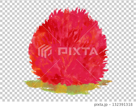 紅葉が美しい秋のコキア　水彩 132391318