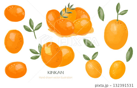 おせちの金柑(甘露煮・フレッシュ)水彩イラストのセット おせちの金柑(甘露煮・フレッシュ)水彩イラストのセット 132391531