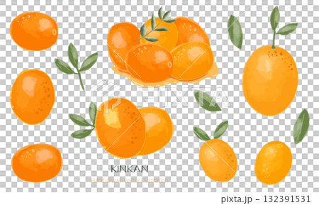 Set of watercolor illustrations of kumquats (sweetened and fresh) for New Year's dishes Set of watercolor illustrations of kumquats (sweetened and fresh) for New Year's dishes 132391531