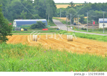 JR北海道石北本線女満別駅から緋牛内駅間の風景(2023年夏) 132391698