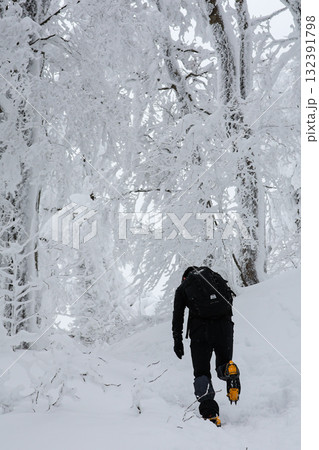 伯耆大山の樹林帯を歩く男性 132391798