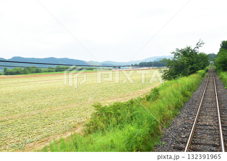 JR北海道石北本線緋牛内駅から愛し野駅間の風景(2023年夏) 132391965