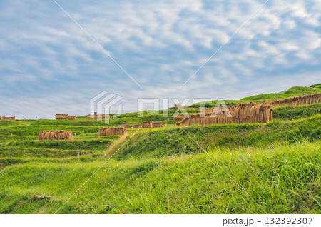 稲架掛けと秋の空【姨捨の棚田】 稲架掛けと秋の空【姨捨の棚田】 132392307