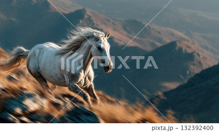 山岳地帯の斜面を、白馬が勢いよく駆け抜ける瞬間を捉えた写真。風を切ってたてがみが舞い上がり、筋肉の動 山岳地帯の斜面を、白馬が勢いよく駆け抜ける瞬間を捉えた写真。風を切ってたてがみが舞い上がり、筋肉の動 132392400