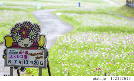 くりはま花の国の秋 132392619