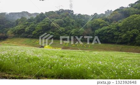 くりはま花の国の秋 132392648