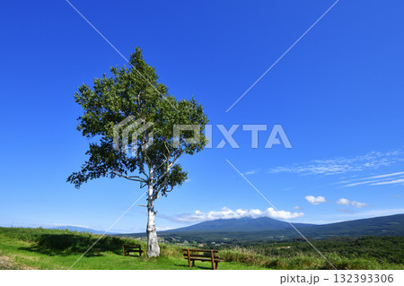 9月のほしかぜの丘とシンボルツリー 132393306