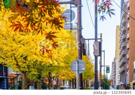 秋の杜の都を歩く 秋の杜の都を歩く 132393695