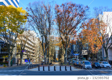 秋の杜の都を歩く 132393702