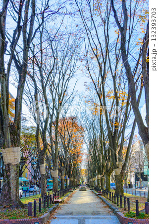 秋の杜の都を歩く 132393703