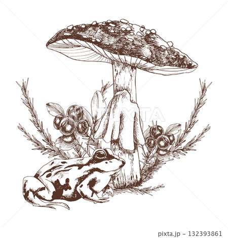 Wild forest vintage engraved clipart with agaric mushroom,berries, spruce and big frog illustration. Hand drawn silhouette of wood creatures for eco design. Seasonal autumn clipart 132393861