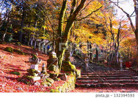 石段のもみじも一味違う風情 132394593
