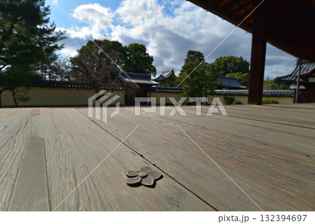 等持院の方丈庭園 等持院の方丈庭園 132394697